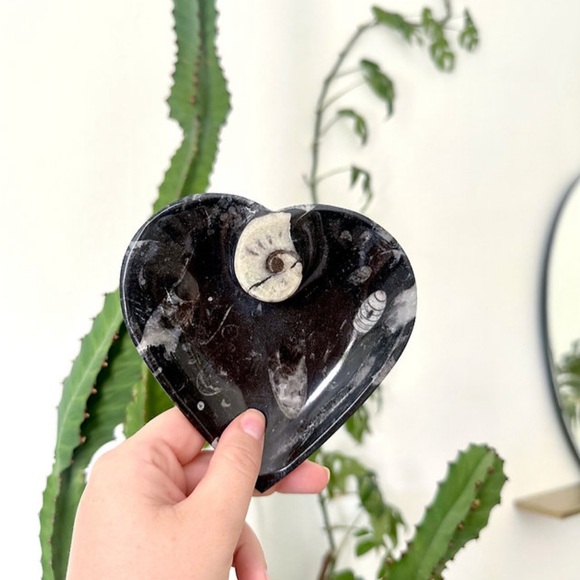 Orthoceras Heart Shape Trinket Bowl - Picture 3 of 3